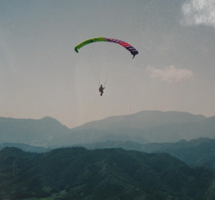 e38391e383a9e38391e383b3e38388